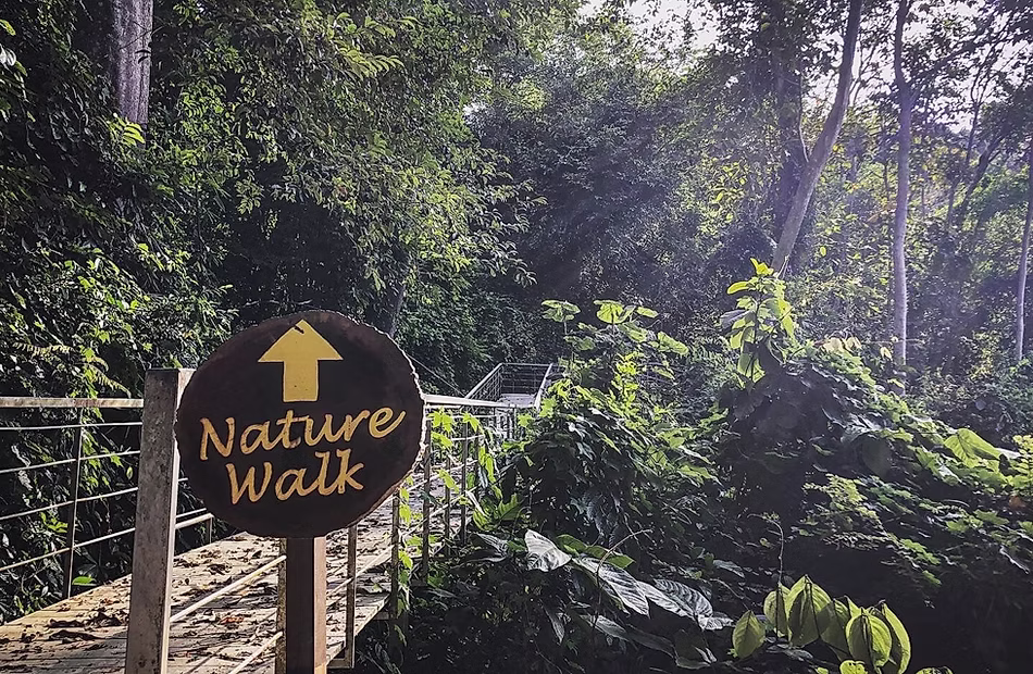 nature walk 01